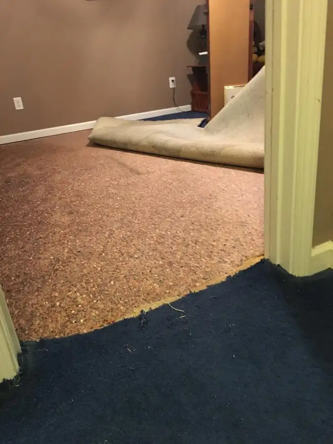Carpet pad removal revealing water damage during Water Mitigation Services in Woodhaven