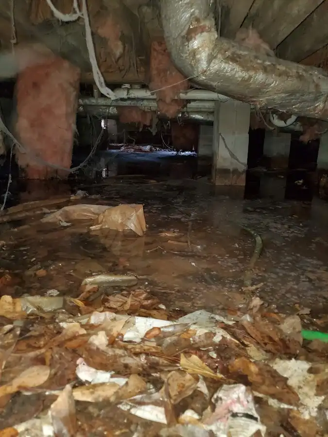 Crawl space flood assessment for Leak Detection & Repair in Woodhaven