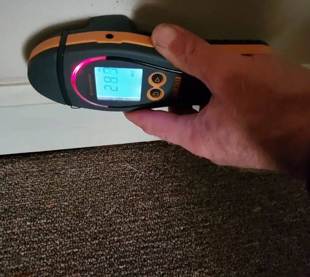 Moisture detection at baseboard during Storm Damage Restoration in Woodhaven
